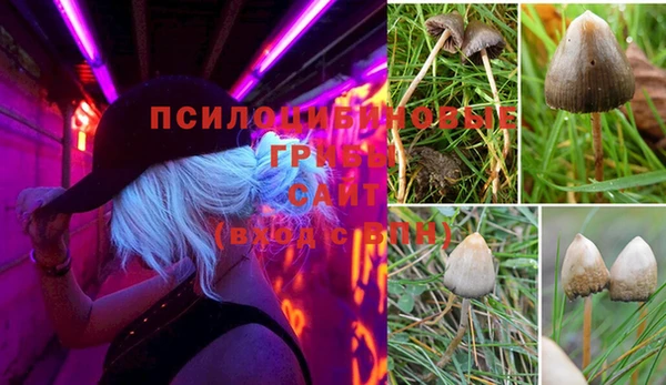молекула духа Богородицк